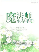 魔法师生存手册