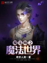 魔法师之魔法世界