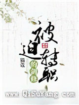 被迫转职的剑修