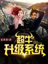 超牛升级系统