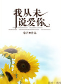 我从未说爱你