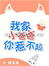 我家小爸爸你惹不起