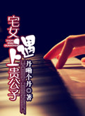 宅女遇上贵公子