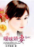 暧昧娇妻