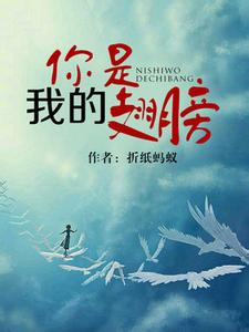 你是我的翅膀（军旅）