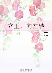 立正，向左转