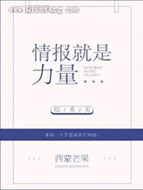[综英美]情报就是力量