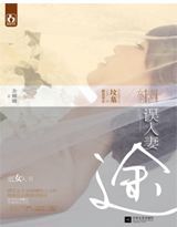误入妻途