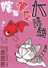 瞎猫撞到大咸鱼