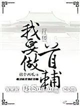 [红楼]我要做首辅
