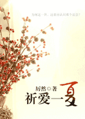 祈爱一夏