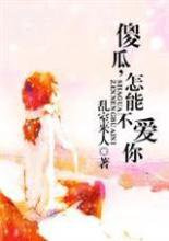 傻瓜，怎能不爱你