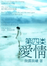 第四类爱情