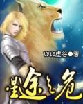 星途之危