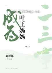 成为叶王妈妈的二三事