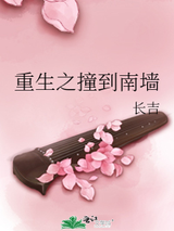 重生之撞到南墙