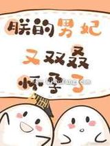 朕的男妃又双叒怀孕了!