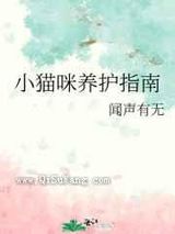 小猫咪养护指南