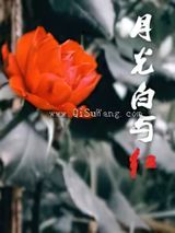 月光白与红