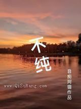 不纯