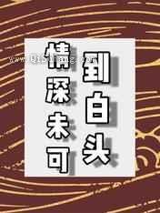 情深未可到白头