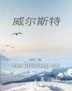 威尔斯特