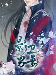 影卫男妻