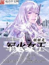 姐姐是军火女王