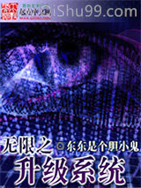 无限之升级系统