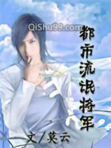 都市流氓将军