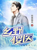 乡野傻医