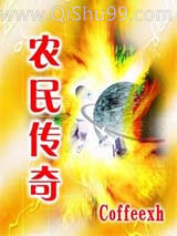 农民传奇