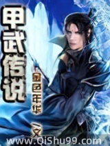 甲武传说