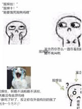 福尔摩鼠，绝不认输