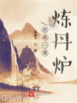我是一尊炼丹炉