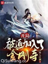 开局被迫加入了金刚寺