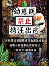 幼崽期禁止携汪出逃