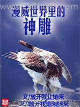 漫威世界里的神雕