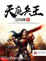 天庭兵王