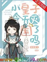 小皇子今天被灭国了吗
