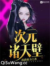 次元诸天壁
