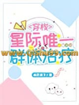 星际唯一群体治疗