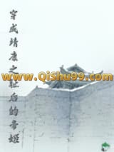 穿成靖康之耻后的帝姬