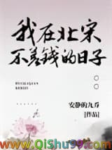 我在北宋不差钱的日子