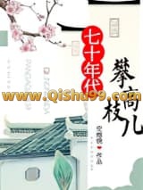 七十年代攀高枝儿