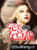 我的完美女总裁