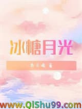 冰糖月光