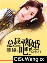 独家姻缘：前妻，离婚无效