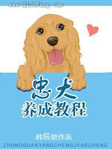 忠犬养成教程
