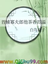 首辅寡夫郎他茶香四溢